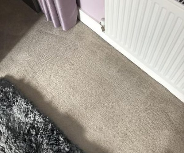Carpet Cleaning Manningtree